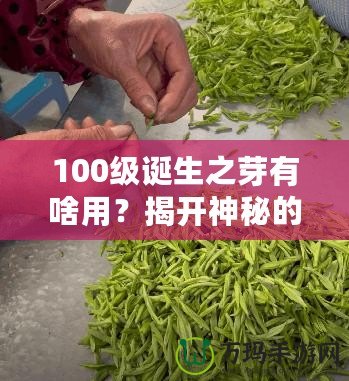 100級(jí)誕生之芽有啥用？揭開神秘的面紗，探索無限可能！