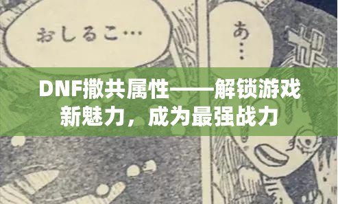 DNF撒共屬性——解鎖游戲新魅力，成為最強(qiáng)戰(zhàn)力