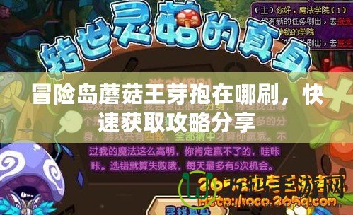冒險(xiǎn)島蘑菇王芽孢在哪刷，快速獲取攻略分享