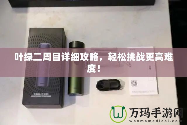 葉綠二周目詳細(xì)攻略，輕松挑戰(zhàn)更高難度！