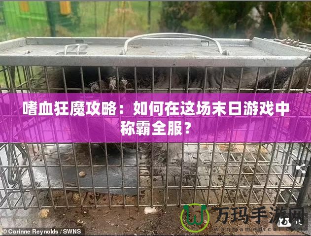 嗜血狂魔攻略：如何在這場末日游戲中稱霸全服？