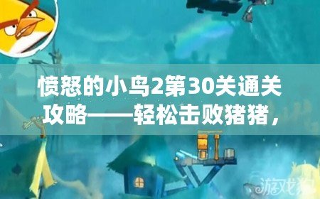 憤怒的小鳥(niǎo)2第30關(guān)通關(guān)攻略——輕松擊敗豬豬，挑戰(zhàn)成功！