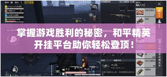 掌握游戲勝利的秘密，和平精英開掛平臺助你輕松登頂！