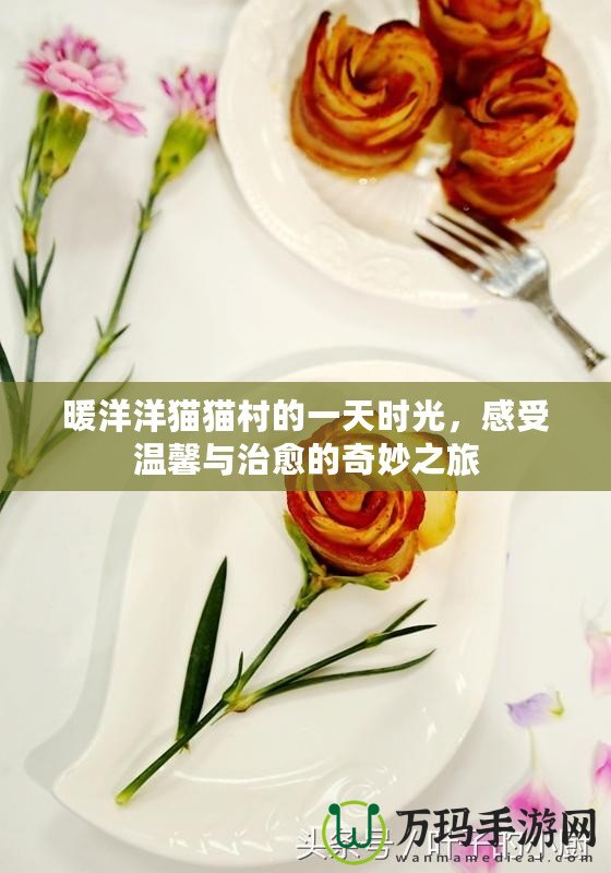 暖洋洋貓貓村的一天時(shí)光，感受溫馨與治愈的奇妙之旅