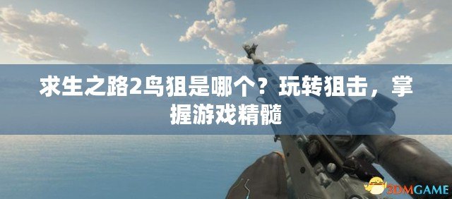求生之路2鳥狙是哪個？玩轉(zhuǎn)狙擊，掌握游戲精髓