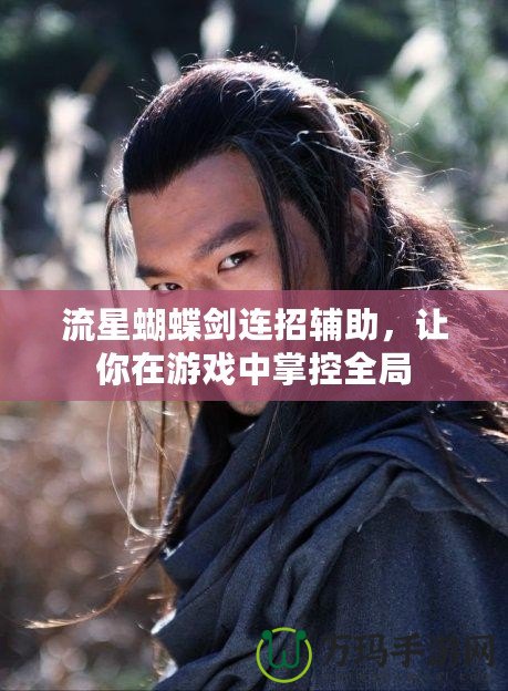 流星蝴蝶劍連招輔助，讓你在游戲中掌控全局