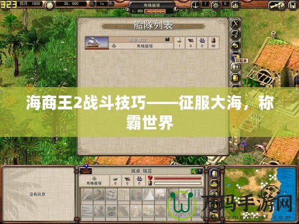 海商王2戰(zhàn)斗技巧——征服大海，稱霸世界