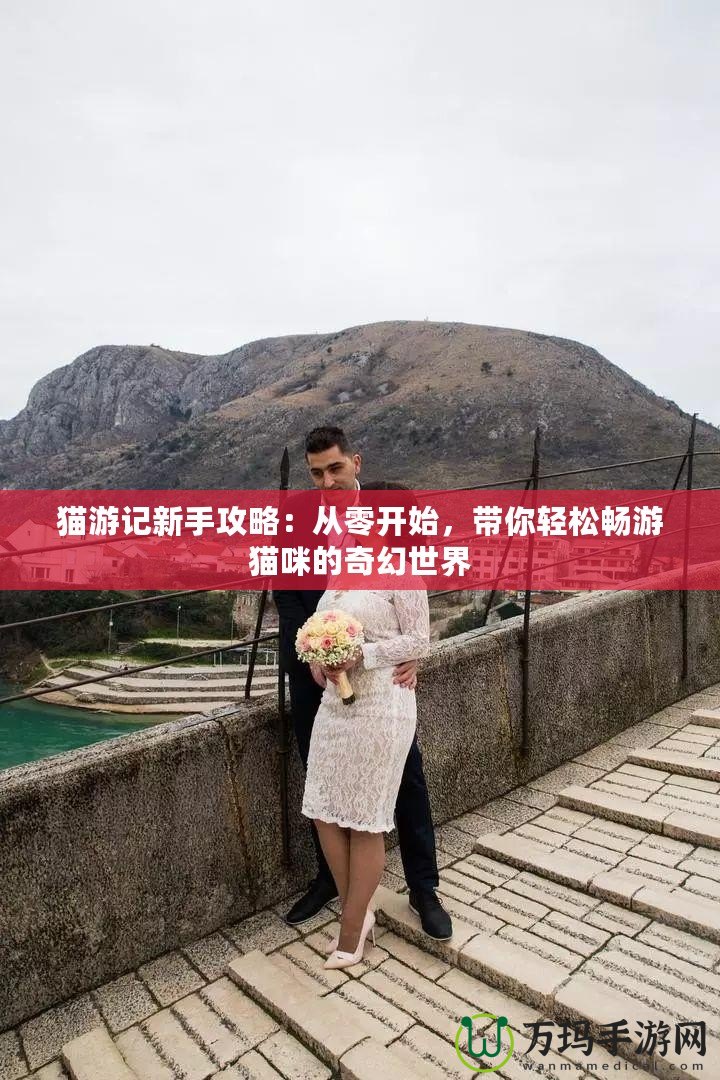 貓游記新手攻略：從零開始，帶你輕松暢游貓咪的奇幻世界