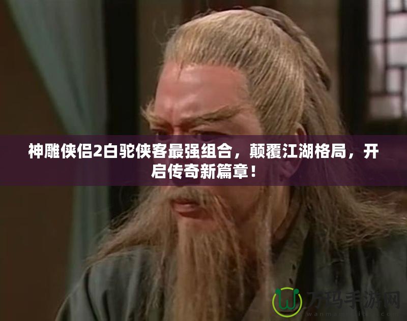神雕俠侶2白駝俠客最強(qiáng)組合，顛覆江湖格局，開啟傳奇新篇章！