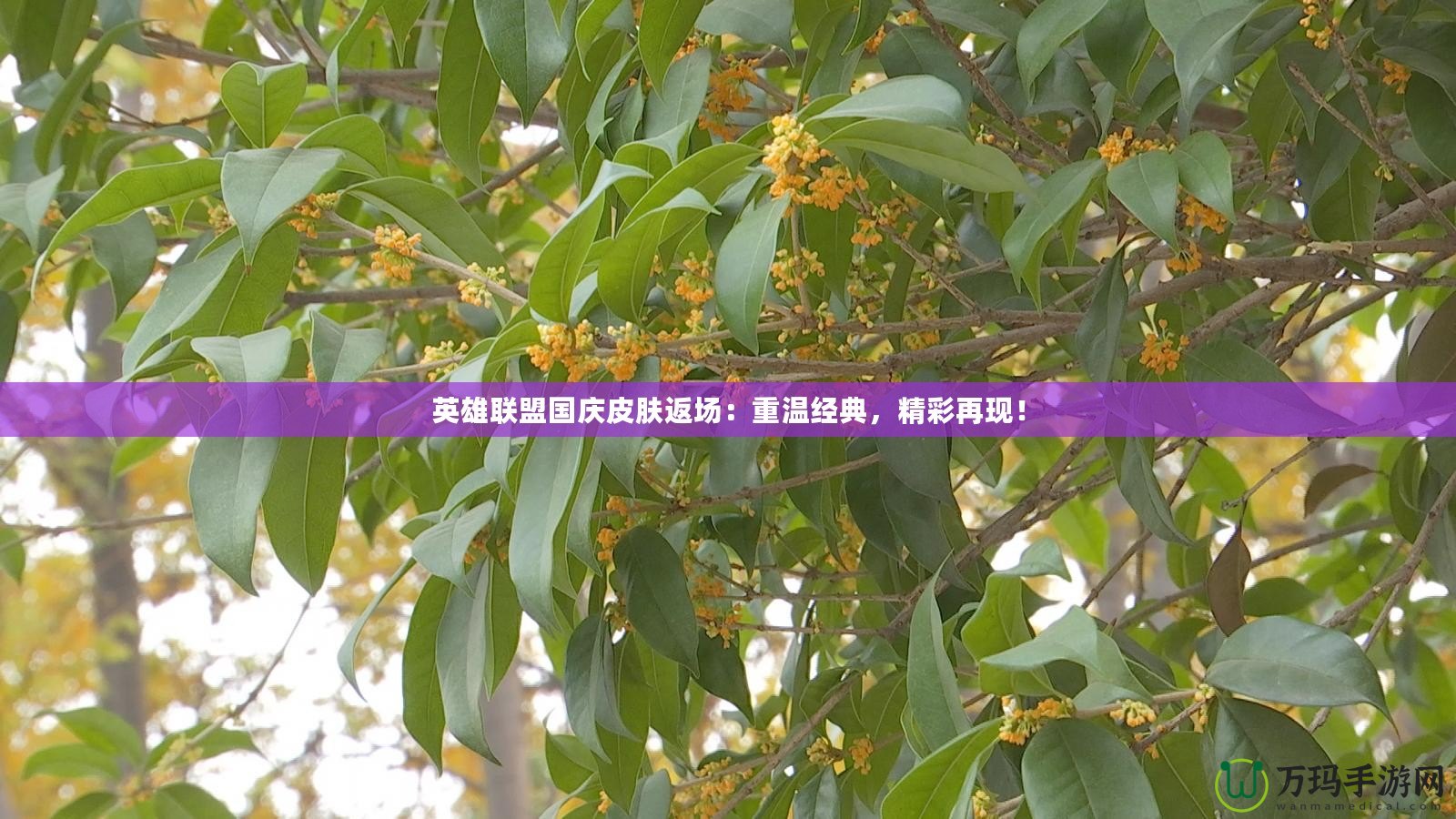 英雄聯(lián)盟國(guó)慶皮膚返場(chǎng)：重溫經(jīng)典，精彩再現(xiàn)！