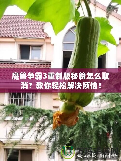 魔獸爭(zhēng)霸3重制版秘籍怎么取消？教你輕松解決煩惱！