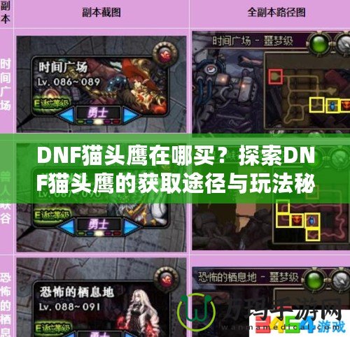 DNF貓頭鷹在哪買？探索DNF貓頭鷹的獲取途徑與玩法秘訣！