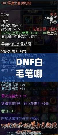 DNF白毛筆哪里爆？全面解析獲取途徑與策略