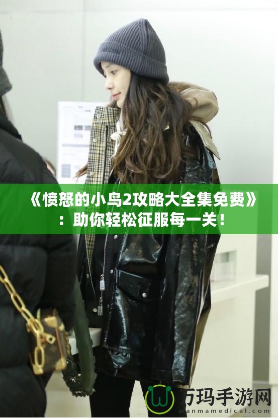 《憤怒的小鳥2攻略大全集免費》：助你輕松征服每一關(guān)！