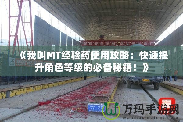 《我叫MT經(jīng)驗藥使用攻略：快速提升角色等級的必備秘籍！》