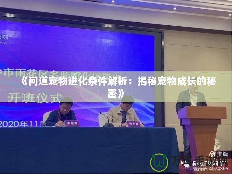 《問道寵物進(jìn)化條件解析：揭秘寵物成長的秘密》