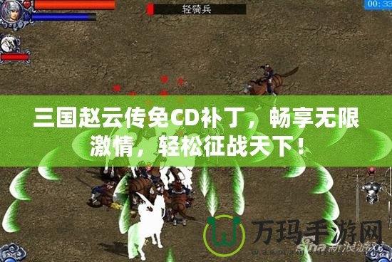 三國(guó)趙云傳免CD補(bǔ)丁，暢享無(wú)限激情，輕松征戰(zhàn)天下！