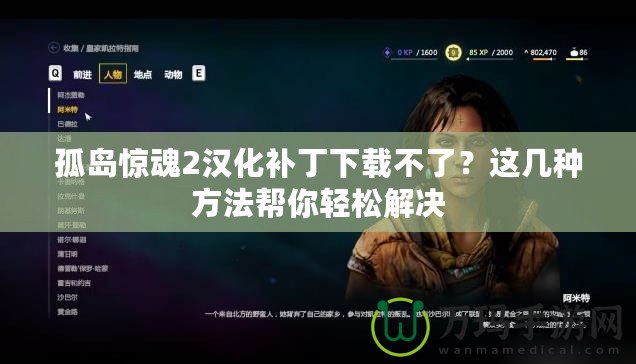 孤島驚魂2漢化補(bǔ)丁下載不了？這幾種方法幫你輕松解決