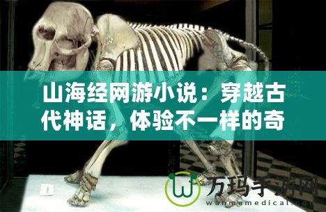 山海經(jīng)網(wǎng)游小說：穿越古代神話，體驗不一樣的奇幻冒險！