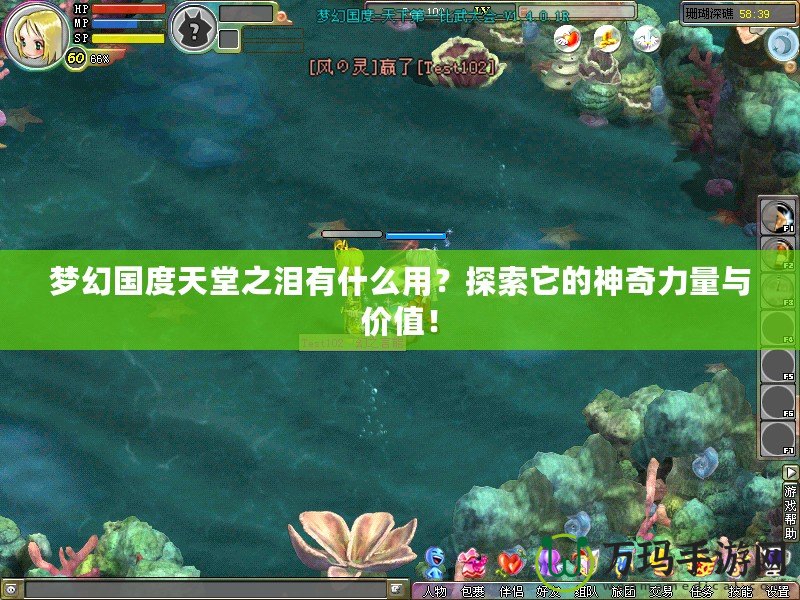 夢(mèng)幻國(guó)度天堂之淚有什么用？探索它的神奇力量與價(jià)值！