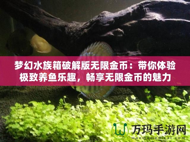 夢(mèng)幻水族箱破解版無(wú)限金幣：帶你體驗(yàn)極致養(yǎng)魚(yú)樂(lè)趣，暢享無(wú)限金幣的魅力