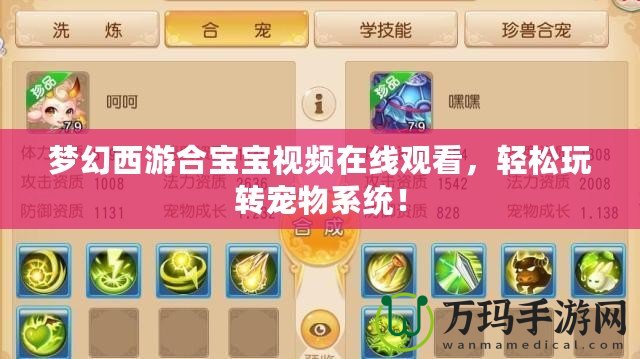 夢幻西游合寶寶視頻在線觀看，輕松玩轉(zhuǎn)寵物系統(tǒng)！
