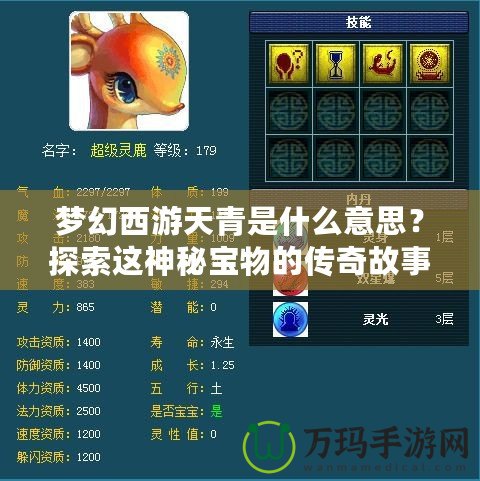 夢幻西游天青是什么意思？探索這神秘寶物的傳奇故事