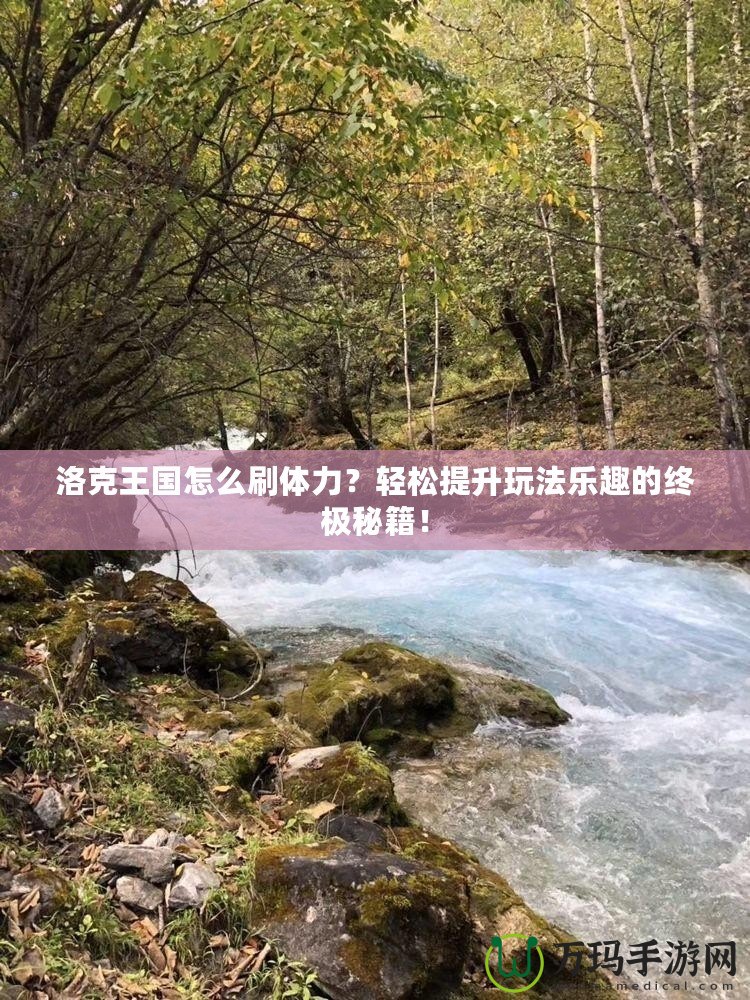 洛克王國怎么刷體力？輕松提升玩法樂趣的終極秘籍！