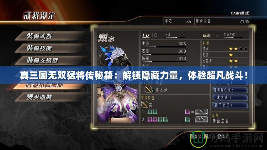 真三國無雙猛將傳秘籍：解鎖隱藏力量，體驗(yàn)超凡戰(zhàn)斗！