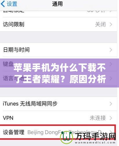 蘋果手機為什么下載不了王者榮耀？原因分析與解決辦法