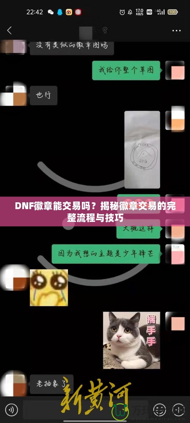 DNF徽章能交易嗎？揭秘徽章交易的完整流程與技巧