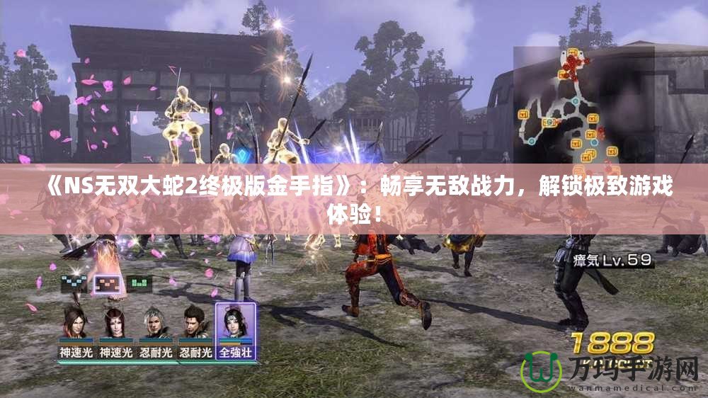 《NS無雙大蛇2終極版金手指》：暢享無敵戰(zhàn)力，解鎖極致游戲體驗！