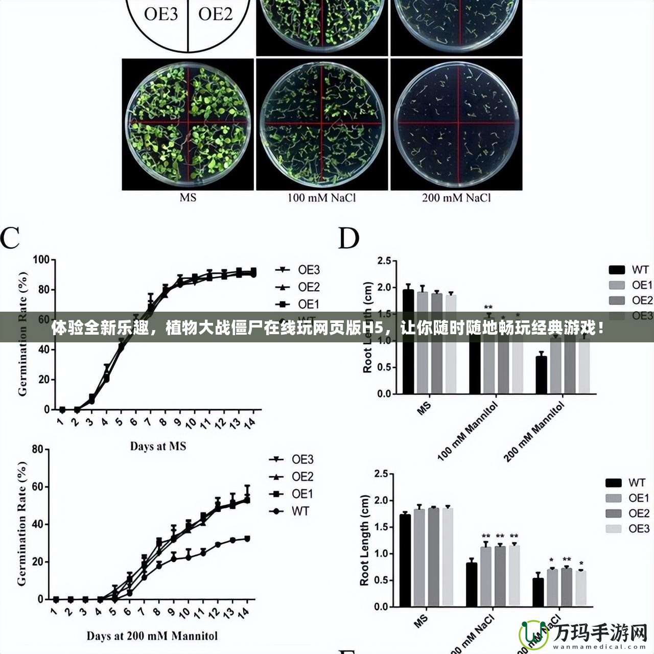 體驗(yàn)全新樂趣，植物大戰(zhàn)僵尸在線玩網(wǎng)頁(yè)版H5，讓你隨時(shí)隨地暢玩經(jīng)典游戲！