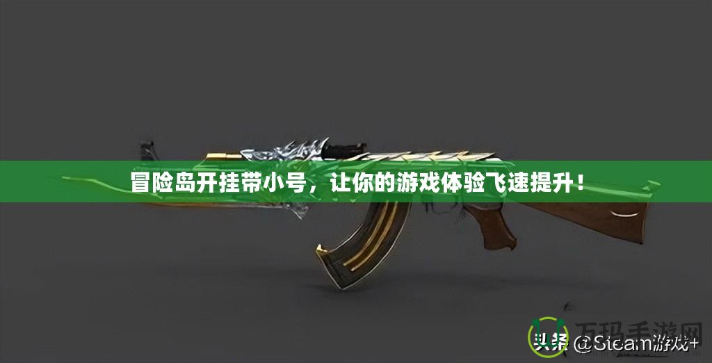 冒險(xiǎn)島開掛帶小號(hào)，讓你的游戲體驗(yàn)飛速提升！