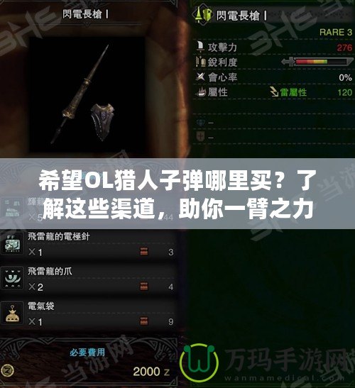 希望OL獵人子彈哪里買(mǎi)？了解這些渠道，助你一臂之力！