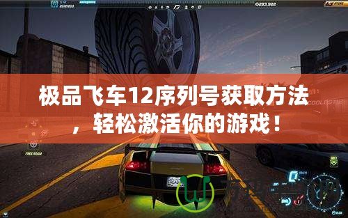 極品飛車12序列號(hào)獲取方法，輕松激活你的游戲！