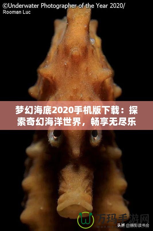 夢(mèng)幻海底2020手機(jī)版下載：探索奇幻海洋世界，暢享無(wú)盡樂(lè)趣
