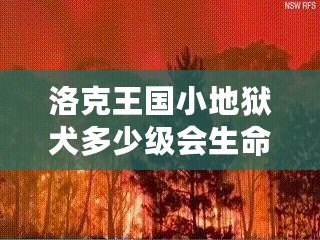 洛克王國小地獄犬多少級會生命火焰？揭秘最強寵物成長路線！