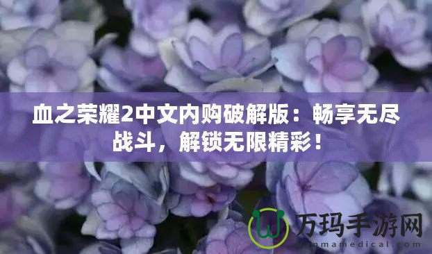 血之榮耀2中文內(nèi)購(gòu)破解版：暢享無(wú)盡戰(zhàn)斗，解鎖無(wú)限精彩！