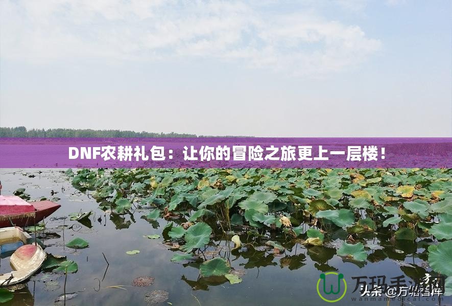 DNF農(nóng)耕禮包：讓你的冒險(xiǎn)之旅更上一層樓！