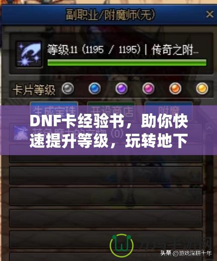 DNF卡經(jīng)驗(yàn)書，助你快速提升等級(jí)，玩轉(zhuǎn)地下城！