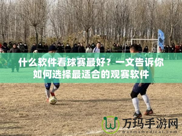 什么軟件看球賽最好？一文告訴你如何選擇最適合的觀賽軟件