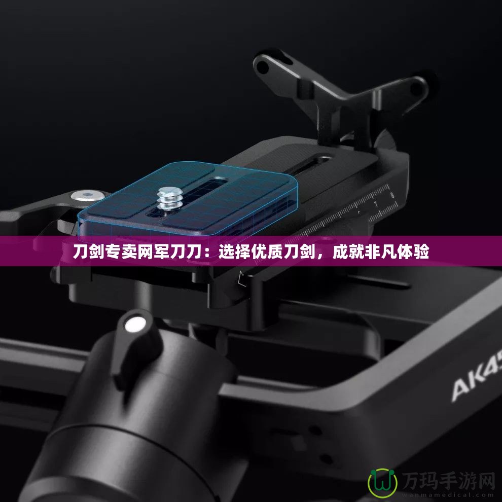 刀劍專(zhuān)賣(mài)網(wǎng)軍刀刀：選擇優(yōu)質(zhì)刀劍，成就非凡體驗(yàn)