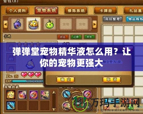 彈彈堂寵物精華液怎么用？讓你的寵物更強(qiáng)大