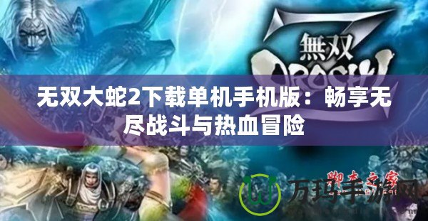 無(wú)雙大蛇2下載單機(jī)手機(jī)版：暢享無(wú)盡戰(zhàn)斗與熱血冒險(xiǎn)