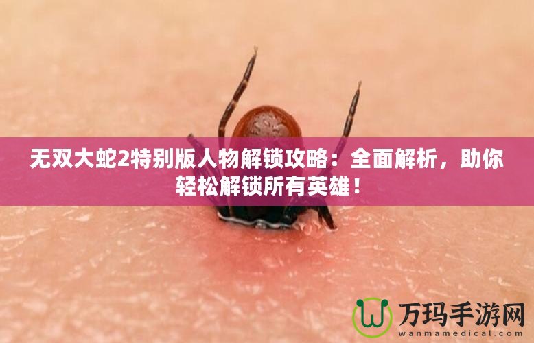 無雙大蛇2特別版人物解鎖攻略：全面解析，助你輕松解鎖所有英雄！
