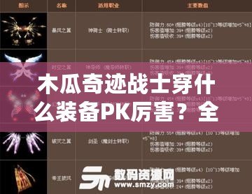 木瓜奇跡戰(zhàn)士穿什么裝備PK厲害？全面解析最強戰(zhàn)士PK裝備搭配！