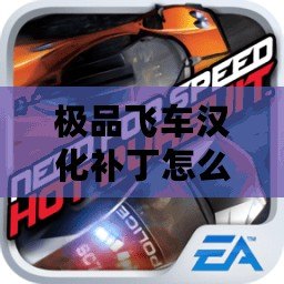 極品飛車漢化補(bǔ)丁怎么用不了？快速解決方法全解析