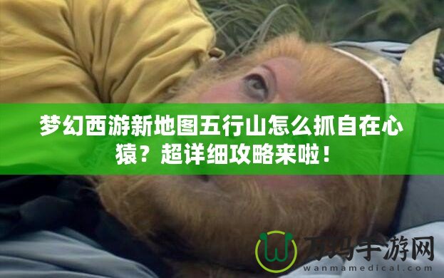 夢(mèng)幻西游新地圖五行山怎么抓自在心猿？超詳細(xì)攻略來(lái)啦！
