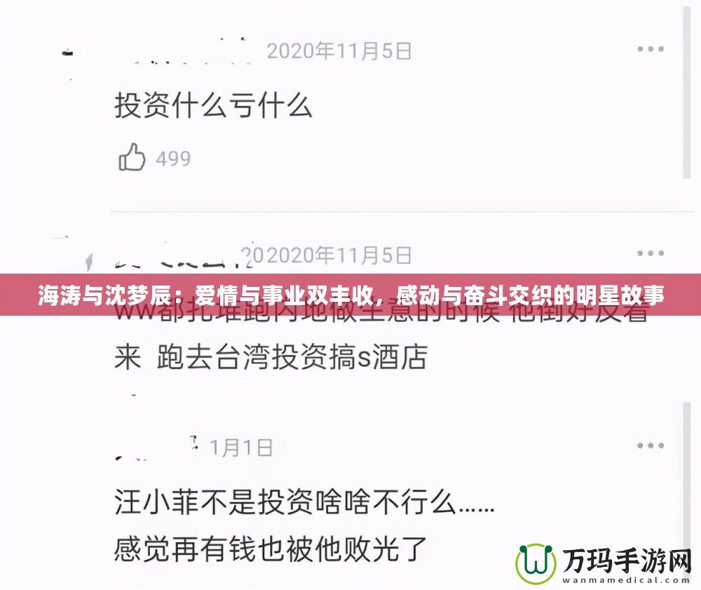 海濤與沈夢(mèng)辰：愛情與事業(yè)雙豐收，感動(dòng)與奮斗交織的明星故事